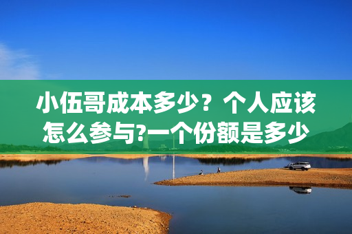 小伍哥成本多少？个人应该怎么参与?一个份额是多少?(网红小伍哥怎么火的)