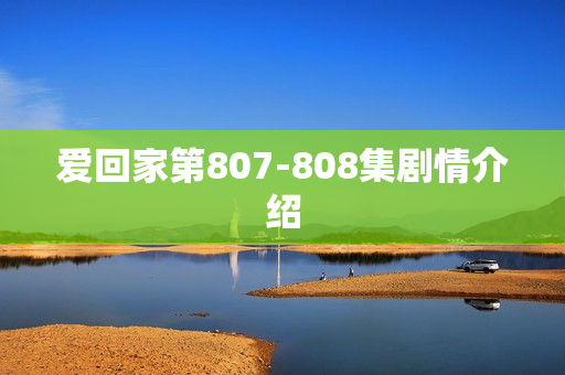 爱回家第807-808集剧情介绍