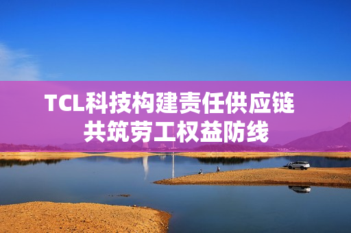 TCL科技构建责任供应链  共筑劳工权益防线