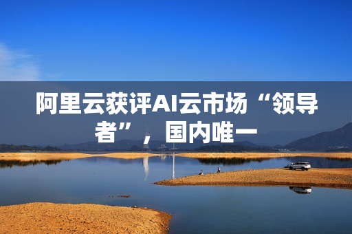阿里云获评AI云市场“领导者”,国内唯一 阿里云获评AI云市场“领导者”,国内唯一