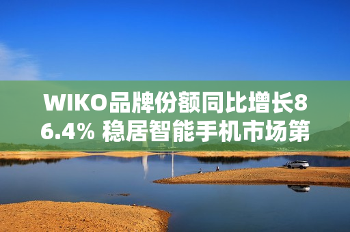 WIKO品牌份额同比增长86.4% 稳居智能手机市场第七