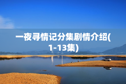 一夜寻情记分集剧情介绍(1-13集)