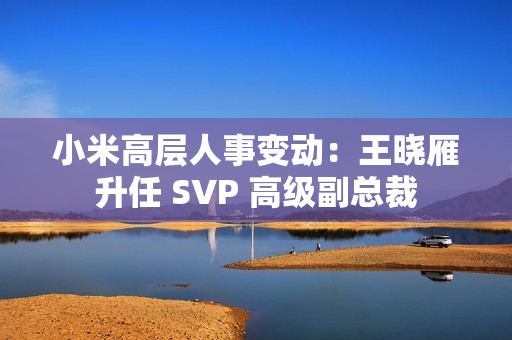 小米高层人事变动：王晓雁升任 SVP 高级副总裁