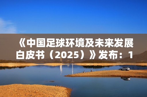 《中国足球环境及未来发展白皮书（2025）》发布：100吋大屏电视成球迷客厅新标配