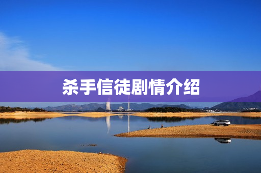 杀手信徒剧情介绍