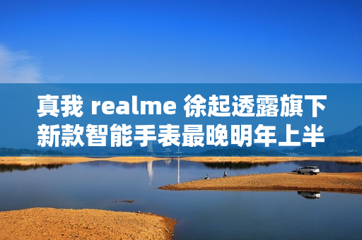 真我 realme 徐起透露旗下新款智能手表最晚明年上半年发布