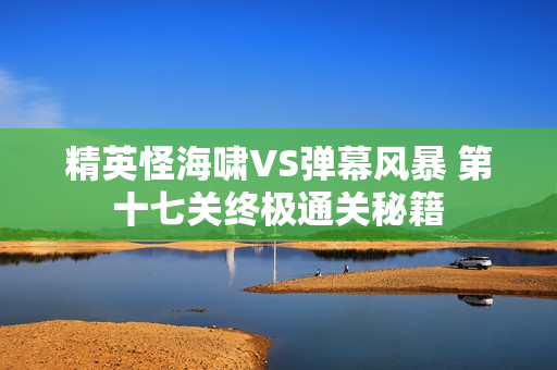 精英怪海啸VS弹幕风暴 第十七关终极通关秘籍
