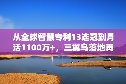 从全球智慧专利13连冠到月活1100万+，三翼鸟落地再加速