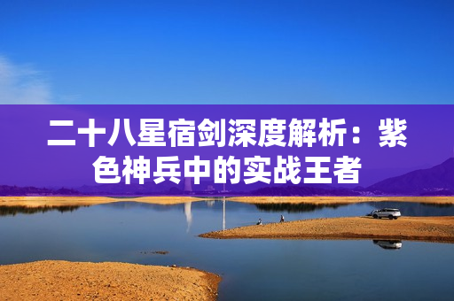 二十八星宿剑深度解析：紫色神兵中的实战王者