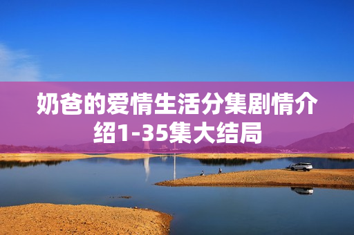奶爸的爱情生活分集剧情介绍1-35集大结局