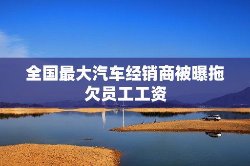 全国最大汽车经销商被曝拖欠员工工资
