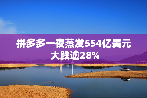 拼多多一夜蒸发554亿美元 大跌逾28%