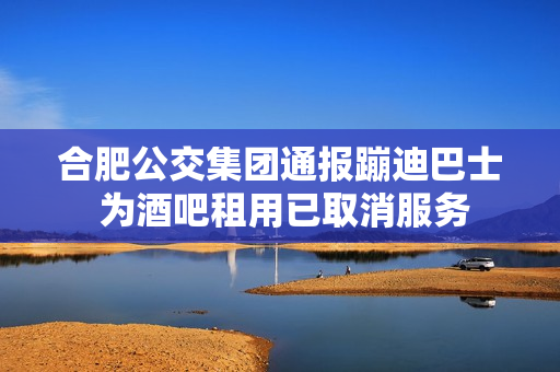合肥公交集团通报蹦迪巴士 为酒吧租用已取消服务 合肥公交集团通报蹦迪巴士 为酒吧租用已取消服务