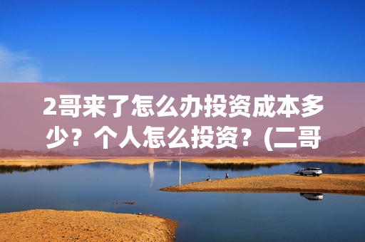 2哥来了怎么办投资成本多少？个人怎么投资？(二哥来了怎么办hd)