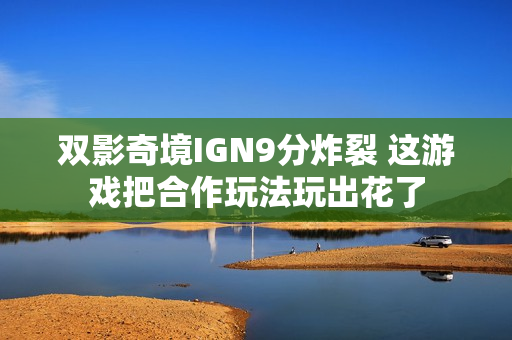 双影奇境IGN9分炸裂 这游戏把合作玩法玩出花了