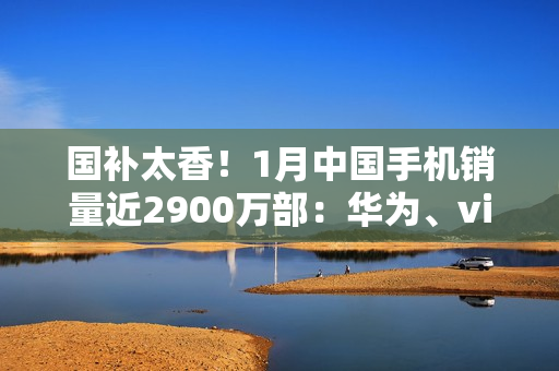 国补太香！1月中国手机销量近2900万部：华为、vivo、小米前三