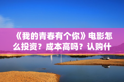 《我的青春有个你》电影怎么投资？成本高吗？认购什么流程呢？(我的青春有个你电影)