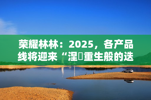荣耀林林：2025，各产品线将迎来“涅槃重生般的迭代”