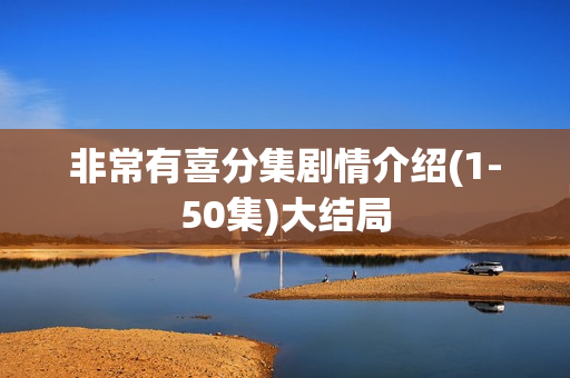 非常有喜分集剧情介绍(1-50集)大结局