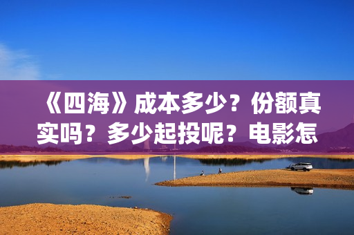 《四海》成本多少？份额真实吗？多少起投呢？电影怎么投资(四海剧情)