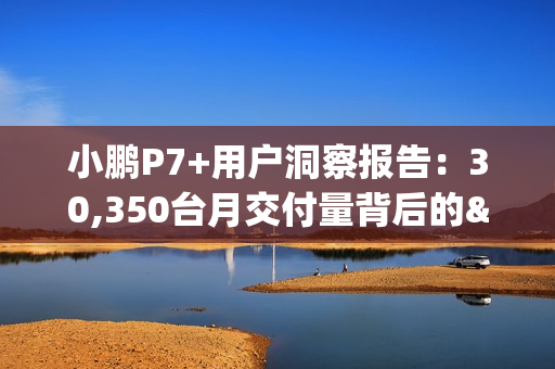 小鹏P7+用户洞察报告：30,350台月交付量背后的"油智同价"革命