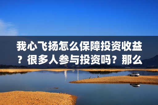 我心飞扬怎么保障投资收益？很多人参与投资吗？那么多人投资是看好哪一点？(我心飞扬接下去什么句)