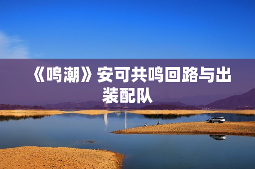 《鸣潮》安可共鸣回路与出装配队