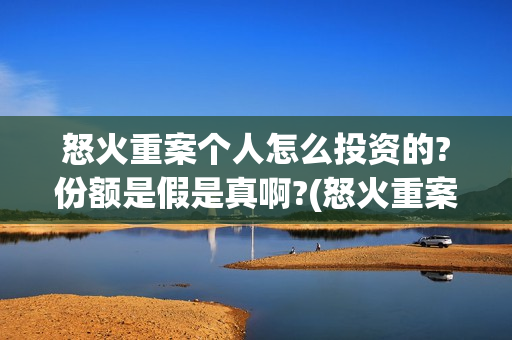 怒火重案个人怎么投资的?份额是假是真啊?(怒火重案人员介绍)