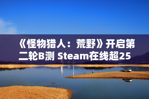 《怪物猎人：荒野》开启第二轮B测 Steam在线超25万