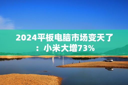 2024平板电脑市场变天了：小米大增73%