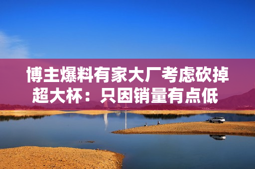 博主爆料有家大厂考虑砍掉超大杯：只因销量有点低 网友热议