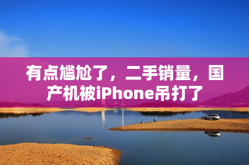 有点尴尬了，二手销量，国产机被iPhone吊打了