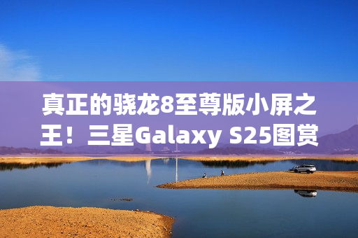 真正的骁龙8至尊版小屏之王！三星Galaxy S25图赏
