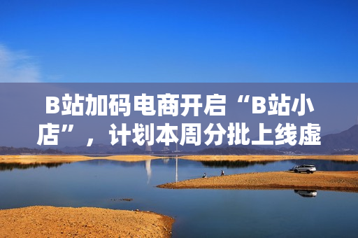 B站加码电商开启“B站小店”，计划本周分批上线虚拟物品售卖