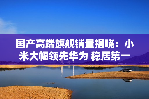 国产高端旗舰销量揭晓：小米大幅领先华为 稳居第一
