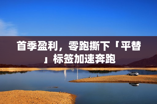 首季盈利，零跑撕下「平替」标签加速奔跑