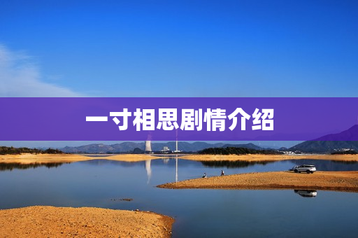 一寸相思剧情介绍