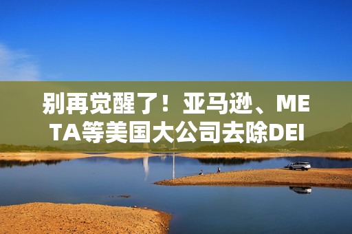 别再觉醒了！亚马逊、META等美国大公司去除DEI