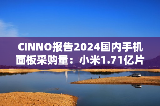 CINNO报告2024国内手机面板采购量:小米1.71亿片同比增21.7%、OPPO1.44亿片同比增3.5% CINNO报告2024国内手机面板采购量:小米1.71亿片同比增21.7%、OPPO1.44亿片同比增3.5%