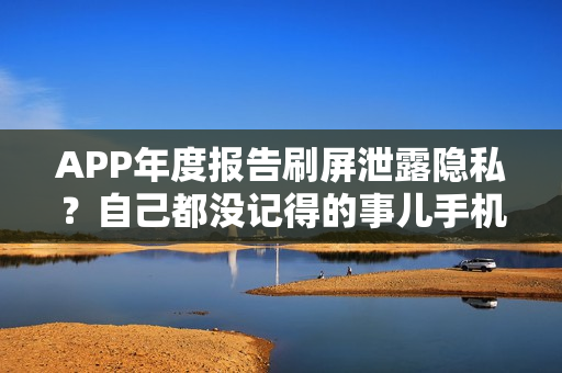 APP年度报告刷屏泄露隐私？自己都没记得的事儿手机APP全知道