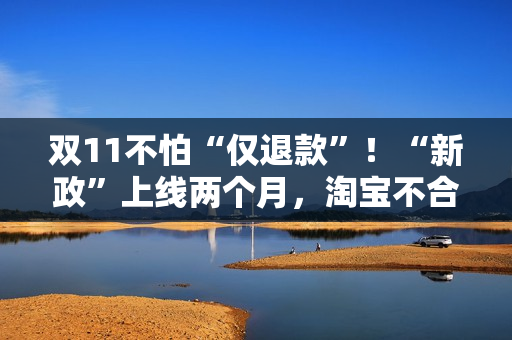 双11不怕“仅退款”！“新政”上线两个月，淘宝不合理“仅退款”全方位得到整治