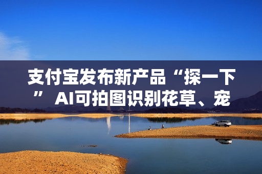 支付宝发布新产品“探一下” AI可拍图识别花草、宠物、潮玩