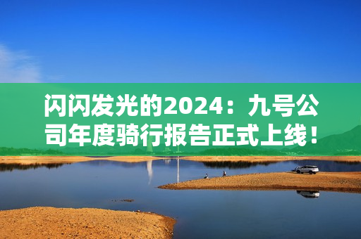 闪闪发光的2024：九号公司年度骑行报告正式上线！