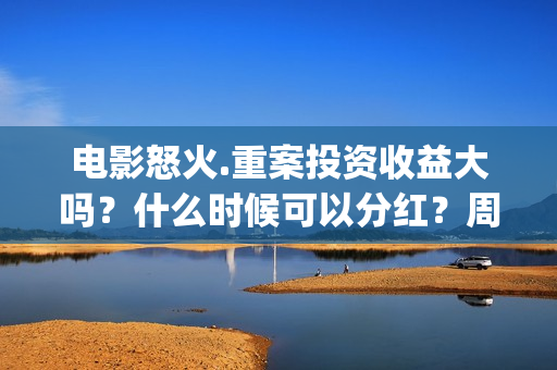 电影怒火.重案投资收益大吗？什么时候可以分红？周期？(电影怒火重案2国语)