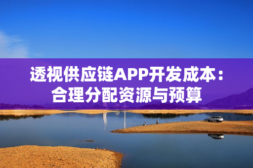 透视供应链APP开发成本：合理分配资源与预算