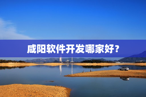 咸阳软件开发哪家好? 咸阳软件开发哪家好?