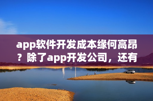 app软件开发成本缘何高昂？除了app开发公司，还有没有其他app开发方式？