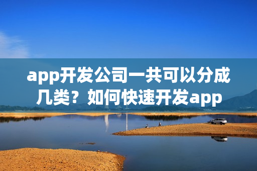app开发公司一共可以分成几类？如何快速开发app
