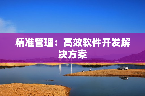 精准管理：高效软件开发解决方案