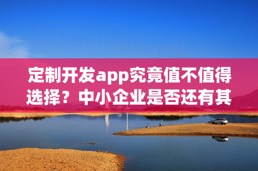 定制开发app究竟值不值得选择？中小企业是否还有其他选择？